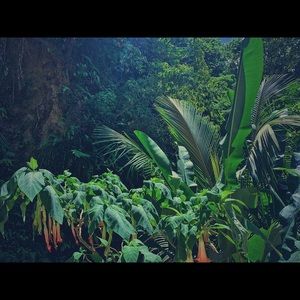 Meet your Posher, Owen